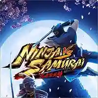 Ninja vs Samurai